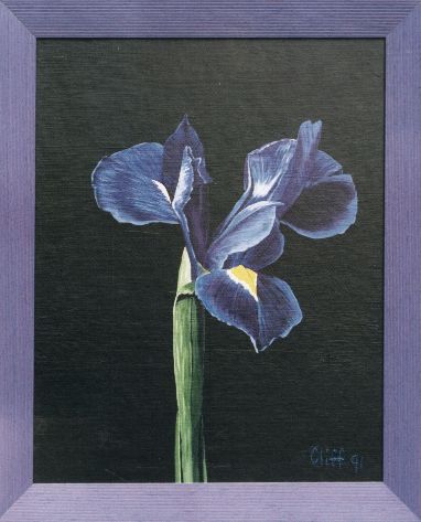 Iris